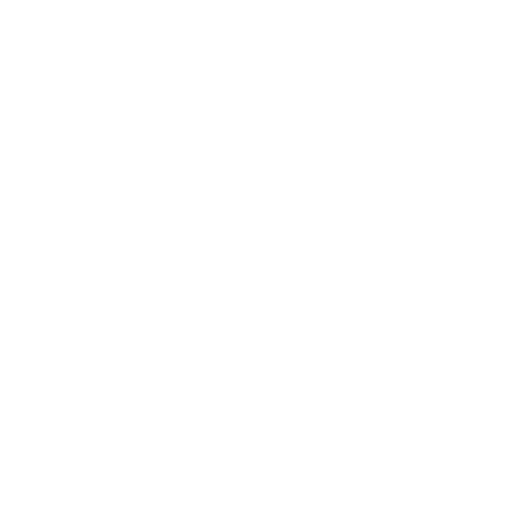 Small Arms Survey Logo
