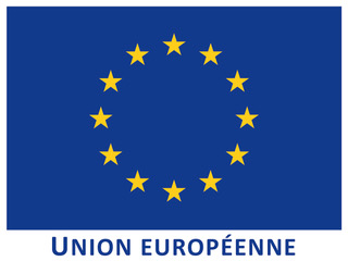 EU logo
