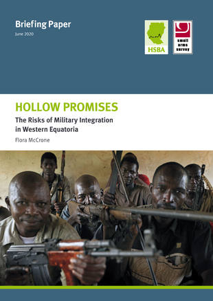 Hollow Promises Briefing Paper cover