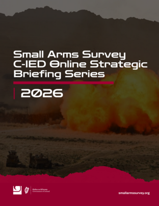 Briefing series cover image