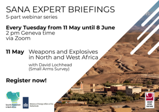 SANA expert briefings 1 flyer